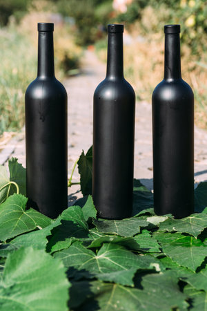 three black wine bottles, stand on green, grape leaves, on the road in the village. the back garden and the house are seen.Home wine.の写真素材