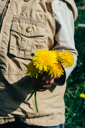 bouquet of dandelions in children's hands. hands holding a dandelion flowers bouquet in meadow. Selective focus. a lot of yellow dandelions in children's hands. a gift to momの写真素材
