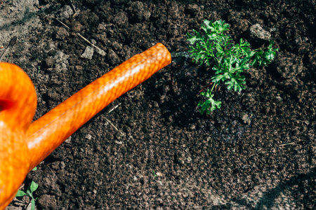orange watering can plant. shadow from the net. plant the plants on the farm. farming and breeding. hobby.の写真素材