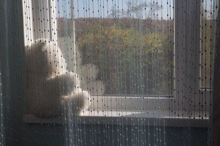 White bear sits on the windowsill and looks out the window, waiting. present. sad childhood The sad teddy bear sits on the windowsill and looks sadly out the window, it's raining, the glass is covered with dropsの写真素材