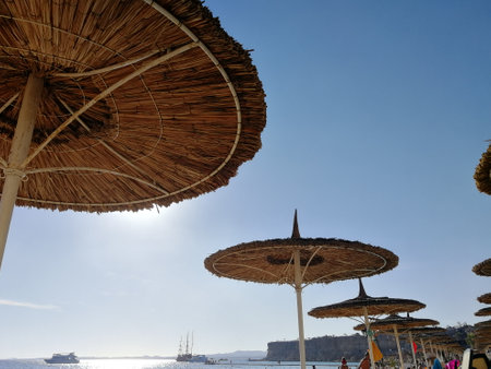 umbrella made of wood against the sky. Holidays. beachの写真素材