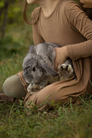 a gray rabbit sits on the girl in her arms, sitting on the grass. Brown hair and brown dress. the girl is holding a large, gray rabbit in her arms.rabbit in children's hands.wants to escapeの写真素材
