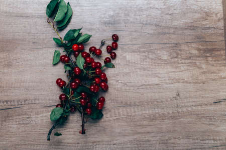 summer gifts. a fresh branch of a cherry tree with green leaves and red fruits, cherries lying on a...