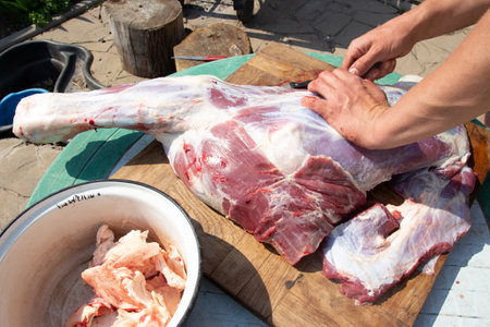 male hands cut, cut meat Butcher preparing meat outdoors during a traditional festival raw meatの写真素材