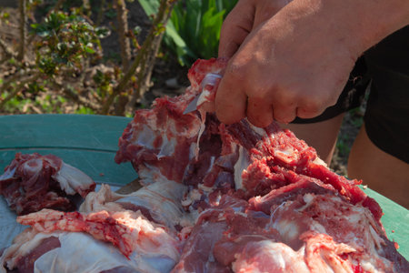 male hands cut, cut meat Butcher preparing meat outdoors during a traditional festival raw meatの写真素材
