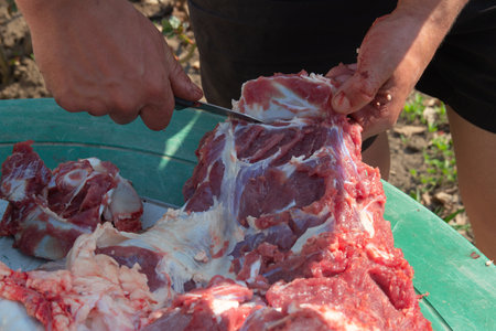 male hands cut, cut meat Butcher preparing meat outdoors during a traditional festival raw meatの写真素材