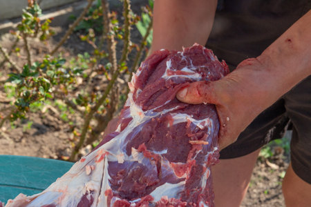 male hands cut, cut meat Butcher preparing meat outdoors during a traditional festival raw meatの写真素材