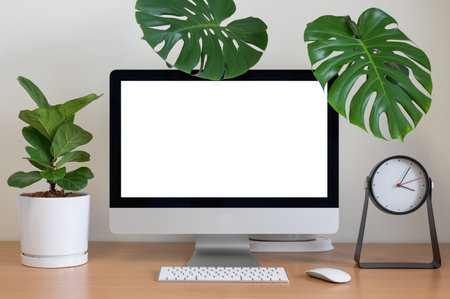 Blank screen of All in one Computer with Monstera, Fiddle Fig and clock on tableの写真素材