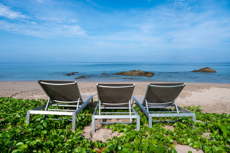 Beach chairs and beach morning glory on the beach at Lanta island, Krabi, Thailandの写真素材