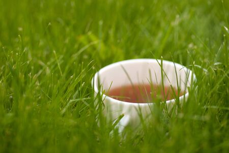 cup of tea on the grass lawn. with copyspaceの写真素材
