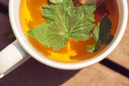 Top view of tea with currant leaf in white cupの写真素材