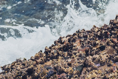 Photo closeup of beautiful clear turquoise sea ocean water surface with ripples and bright splash on seascape background, horizontal picture.の写真素材