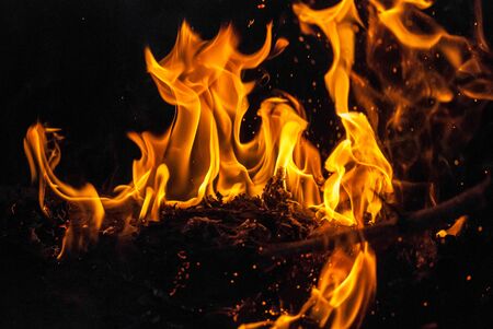 fire flames for background. Camping vacation food cookingの写真素材