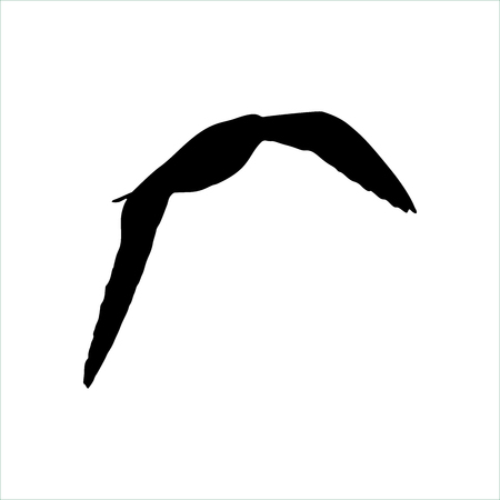 Flying Seagull Bird black silhouette isolated on white backgroundのイラスト素材