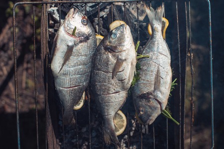 fresh fish with lemon on the grid Barbeque in the garden in summer prepaired for the rost.の写真素材