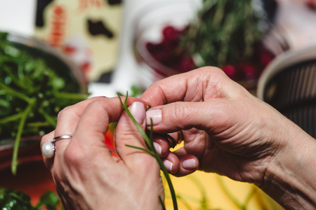 Horizontal photo of aged female hands with golden ring holding fresh green Arugula with vegetable table in backgroundの写真素材