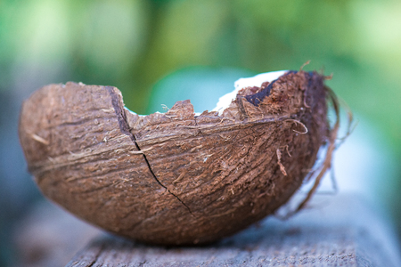 half coconut rests on a wooden cutting board against green background. selective focus macro shot with shallow DOFの写真素材