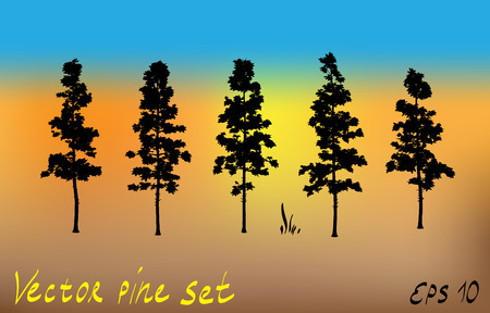 Pacific northwest pine old growth evergreen tree silhouette set collection.のイラスト素材