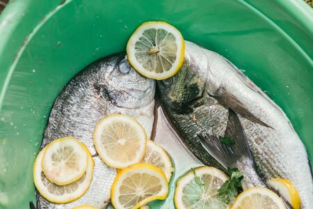 fresh and raw fish with lemon and parsley in a green plastic basin in the garden in summer, ready...