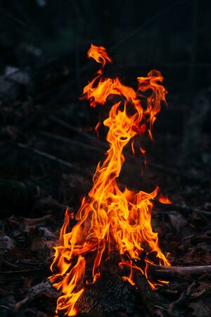 Burning wood at evening in the forest. Campfire at touristic camp at nature. Barbeque and cooking outdoor fresh air. Flame and fire sparks on dark abstract background. Concept of safety and responsibility to natureの写真素材