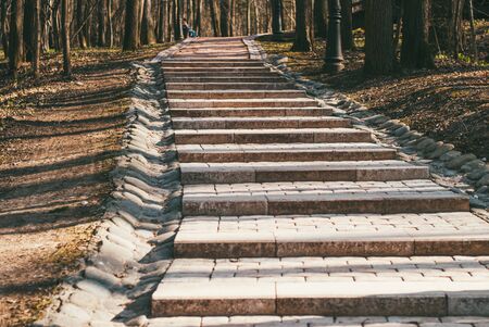 stone stairs in a forest park. A beautiful day in early spring. the concept of climbing and...