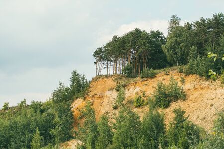High rocky sandy steep bank covered with pine trees