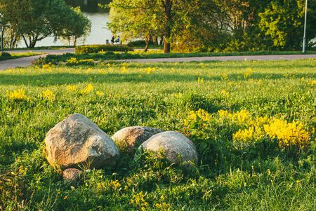 Huge stones in the green grass are illuminated by the sun. Spring day in the Park. Footpaths and a river are visible in the backgroundの写真素材