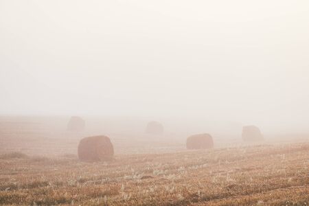 A late summer morning misty landscape with round hay bales. Scene of harvest and fertilityの写真素材