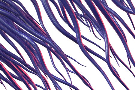 Curly and glossy golden wavy ribbons isolated over white background 3d illustration