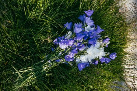 A bouquet of blue-white bell flowers lies on green grassの写真素材