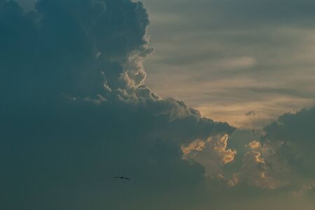 Evening sunset sky with bright rays of the sun and beautiful colorful clouds with blurred silhouette flying seagull in the middle of the frame. Focus at the clouds.の写真素材