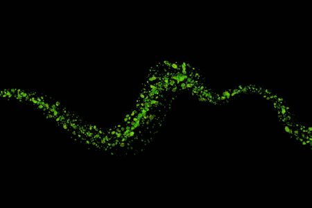 abstract Eco fresh green field wavy line made of drawing leaves isolated on black background. Spring healthy illustration overlayの写真素材