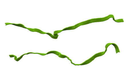 Fresh juicy green ribbons covered with spring grass. Can be used to decorate frames, designs, books and as clipart elements for your work. Clip art elements 3d illustrationの写真素材
