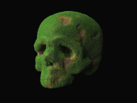 an old abandoned skull overgrown with grass with patches of brown earth. Abstract 3d illustration about y sliding timeの写真素材