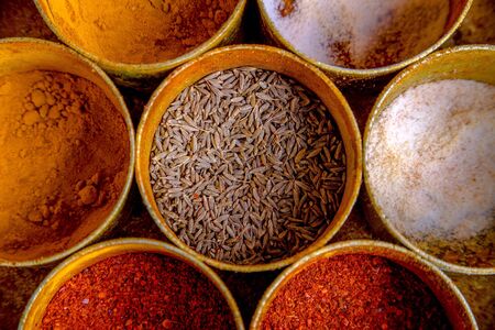 Indian food masalaの素材