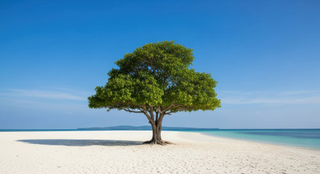 A single lush green tree dominates a pristine sandy beach, with tranquil ocean waters stretching towards the horizon under a vast blue sky.の素材