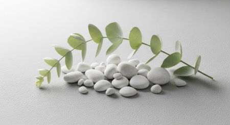 A minimalist composition featuring a light green eucalyptus branch and a collection of small white stones.の素材