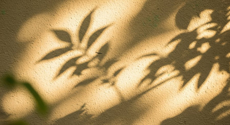 Warm sunlight creates beautiful leaf patterns and shadows on a textured background.の素材