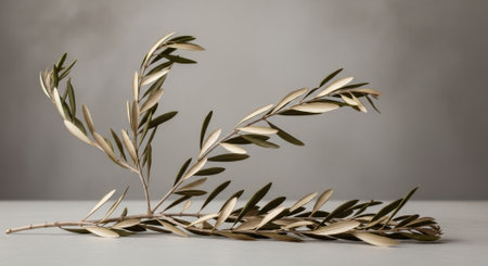 Stylized composition featuring dried olive branches with a muted metallic sheen.の素材