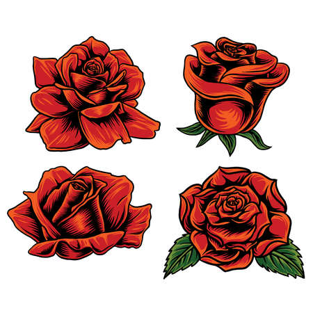 vector set rose in the beground whiteのイラスト素材