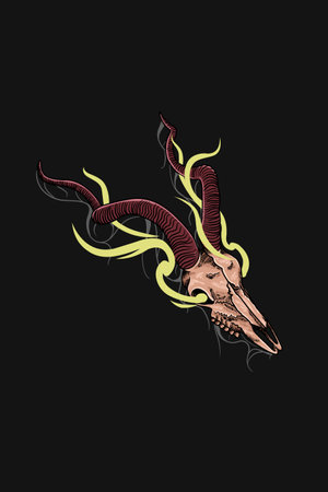 Deer skull vector illustrationのイラスト素材