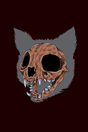 Skull cat vector illustrationのイラスト素材