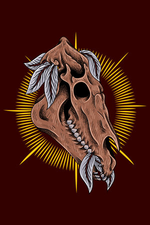 Horse skull with bird feathers vector illustrationのイラスト素材