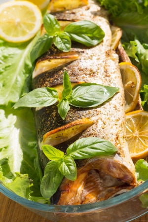 Baked Salmon with Lemon, Salad and Basil cooked in Glass Roasterの写真素材