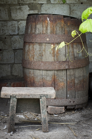 Rural still-life with ancient stool and barrel and green grapevineの写真素材
