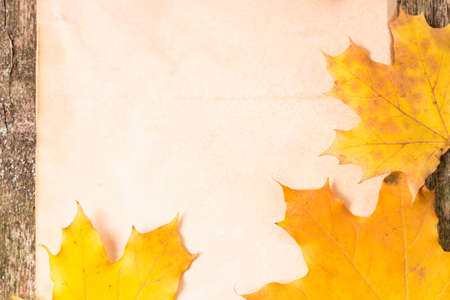 Old paper sheet with fallen leaves on wood backgroundの写真素材