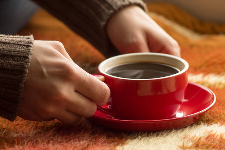Cup of coffee or tea in female handsの写真素材