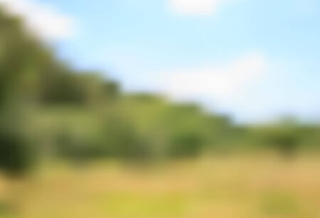 Vector blurred background. Nature landscape near forest.の写真素材
