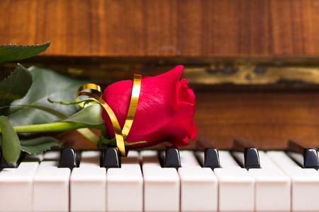 Red beautiful rose on piano keyboard. Music backgroundの写真素材