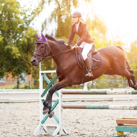 Equestrian sport background. Young sportswoman taking her course on Show jumping competitionの写真素材